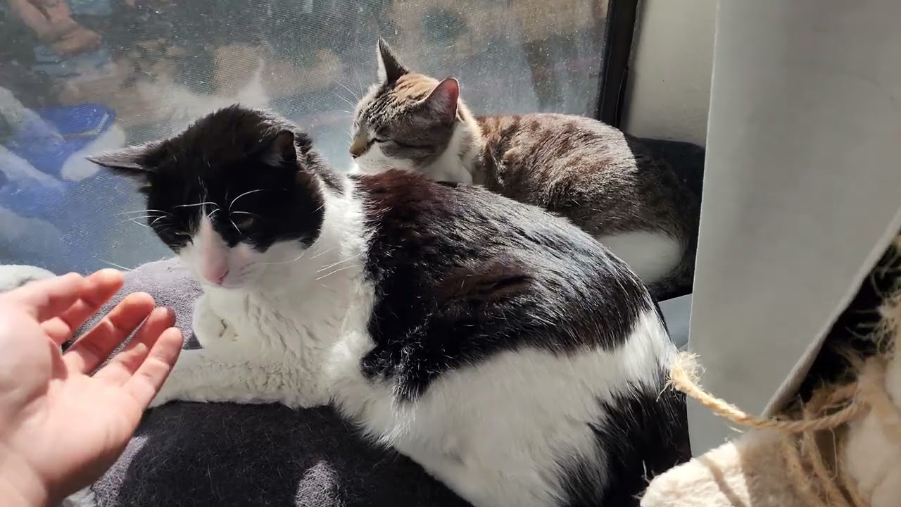 A rare sighting. MimiBlue together