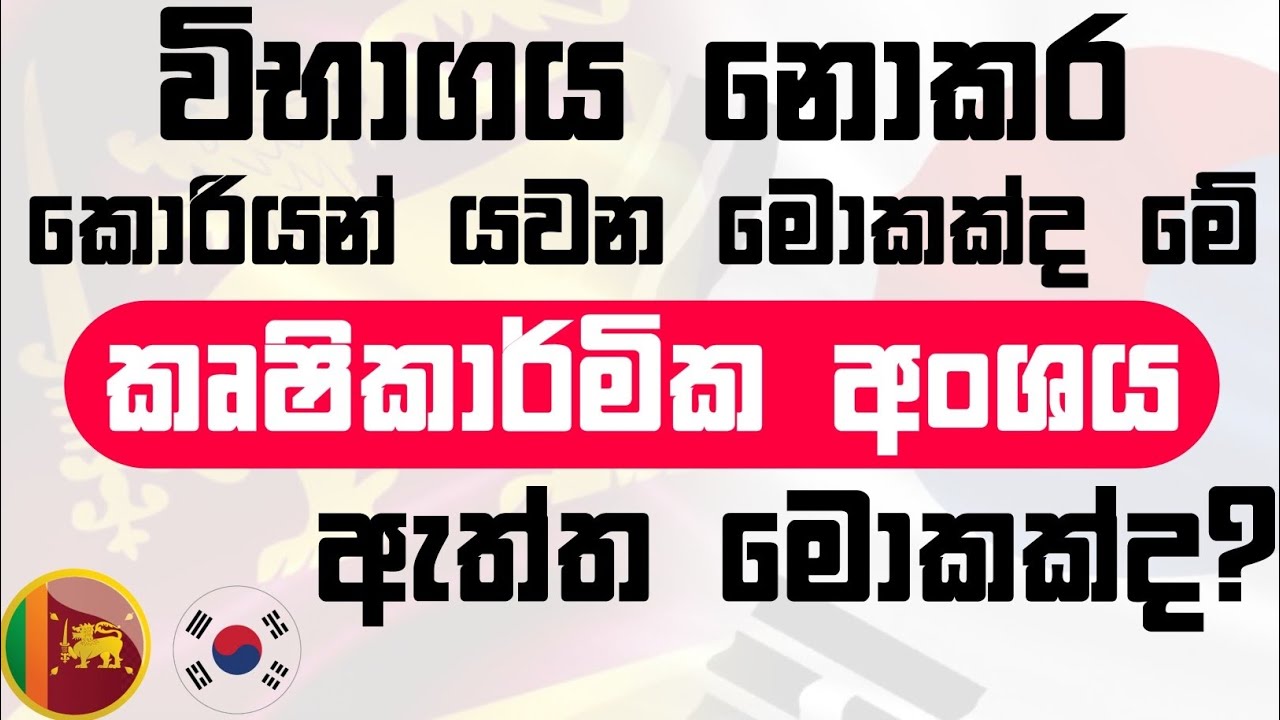 විභාගය නොකර කොරියන් යවන මොකක්ද මේ [කෘෂිකාර්මික අංශය] ඇත්ත මොකක්ද?#koreanexam2024 #korean #KS #🇰🇷