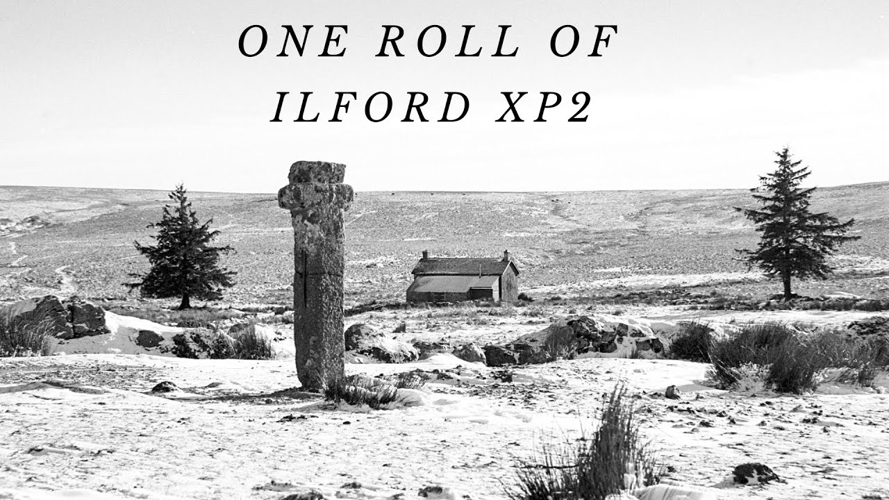 One roll of Ilford XP2 Super | Nikon F100