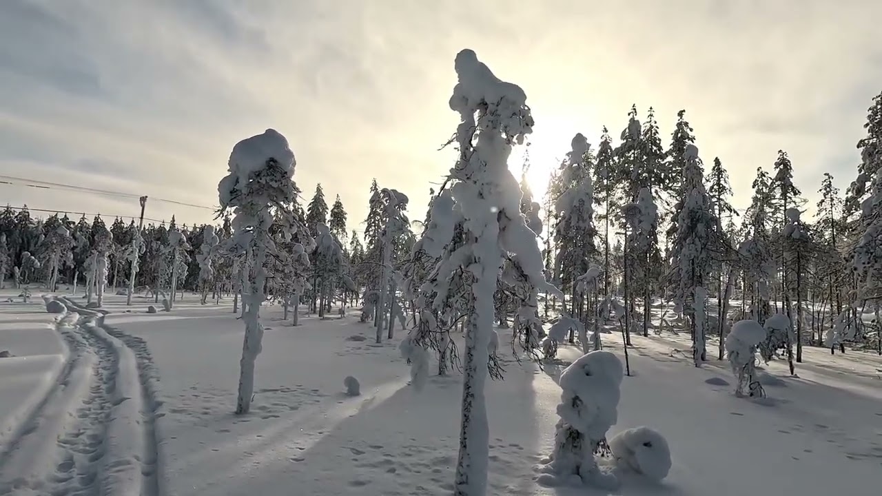 Suo Rauhoittaa Ihmisen mieltä.
