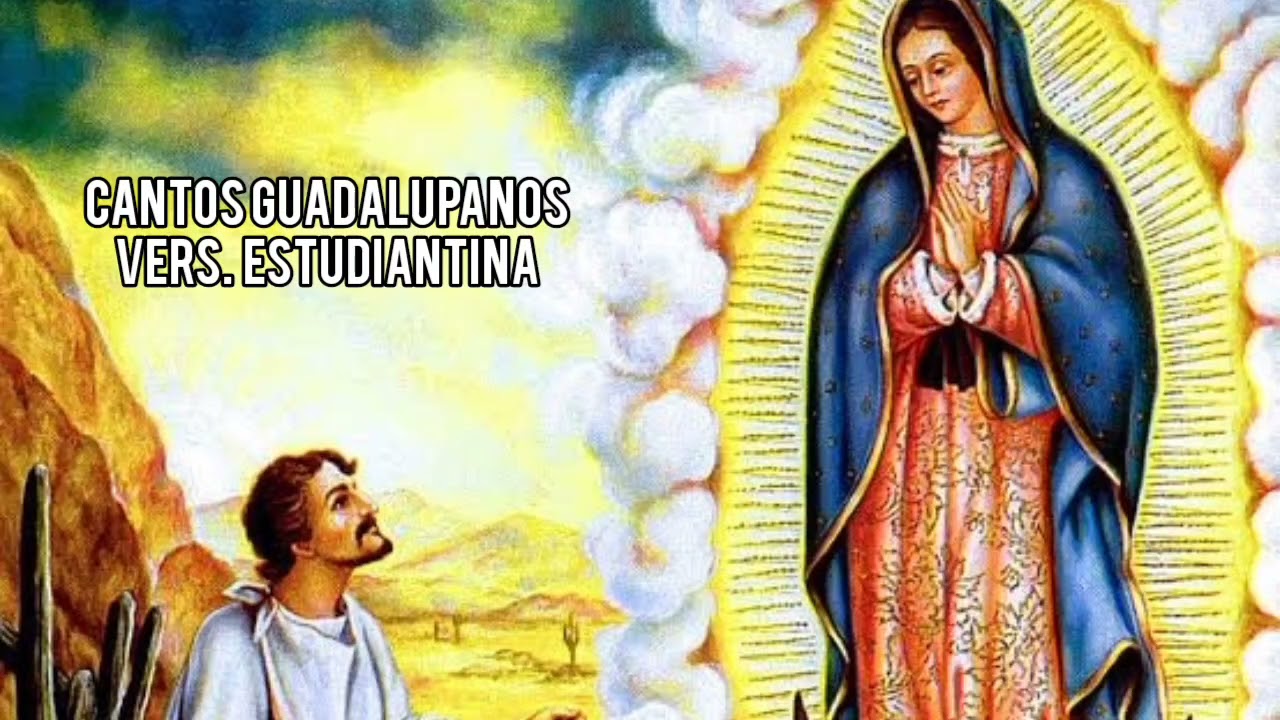 Cantos Guadalupanos en Versión Estudiantina | Mañanitas a la Virgen de Guadalupe 🌹🎶