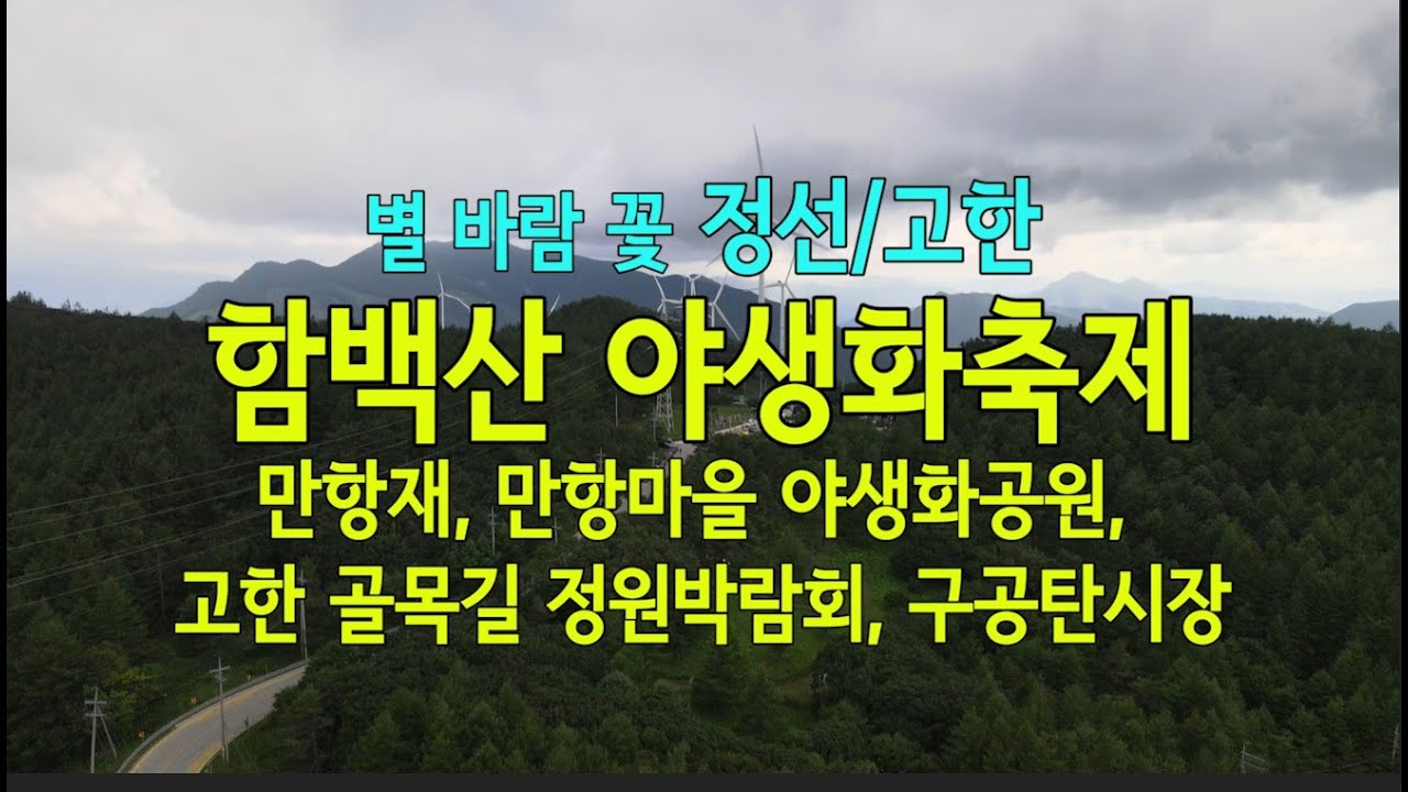 정선/고한 함백산 야생화축제장, 만항재, 만항마을 야생화공원, 고한 골목길 정원박람회, 마을호텔 18번가, 고한 구공탄시장 등을 영상으로 남깁니다.