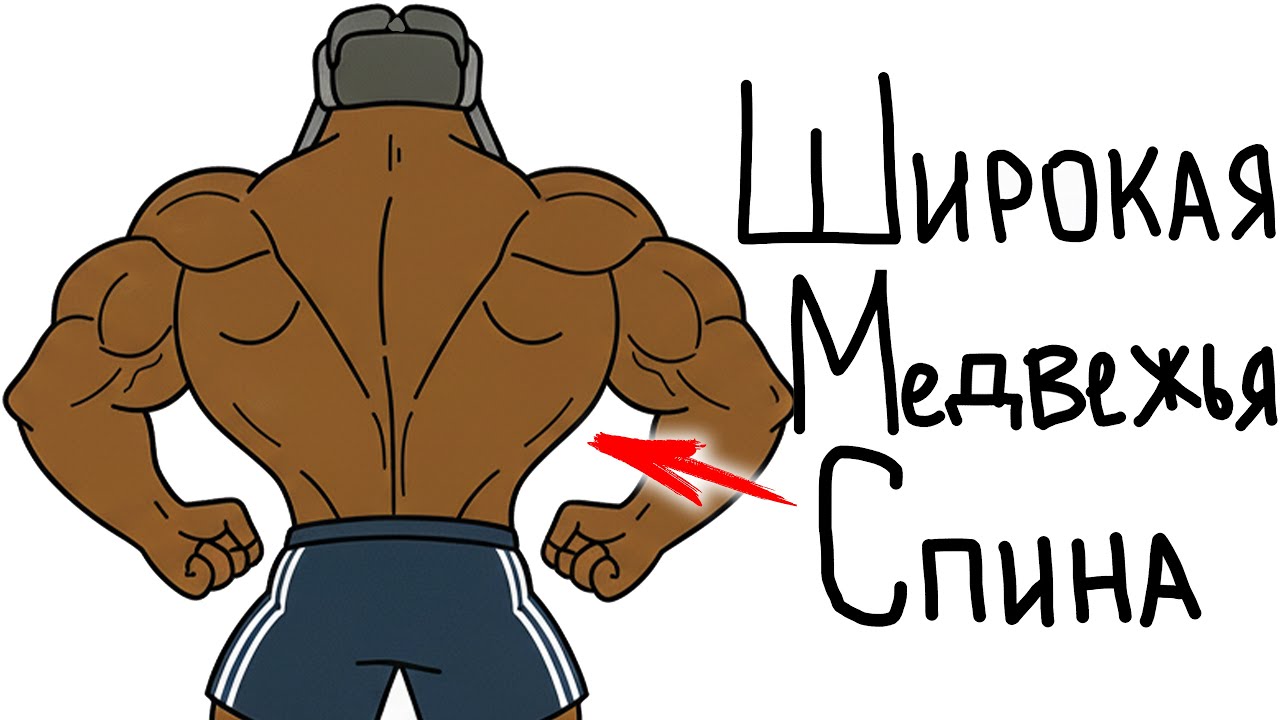 Как Накачать Мощную Медвежью Спину? 3 Лучших Упражнения!