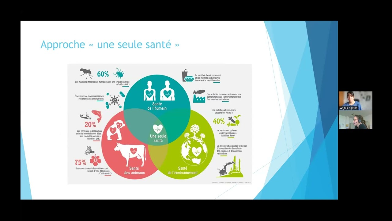 Webinaire du Mercredi 10 décembre 2025 : Une maison saine pour bébé