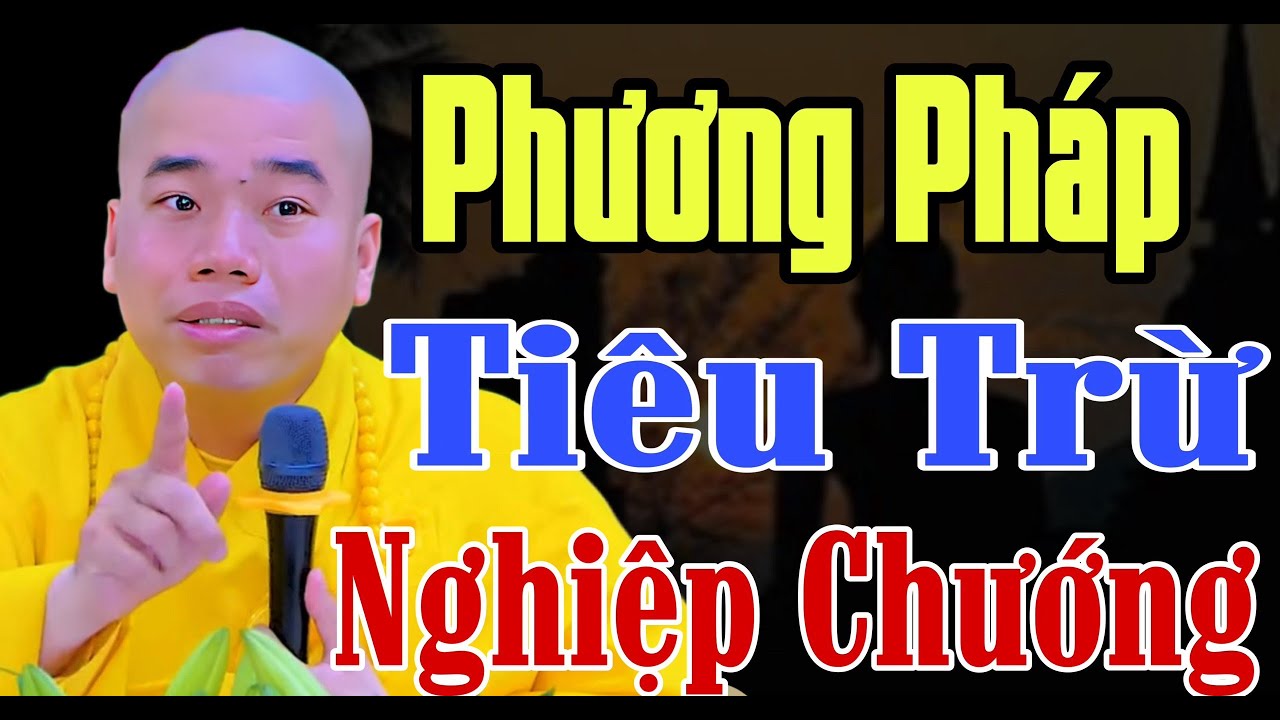 THẦY CHỈ PHƯƠNG PHÁP CHUYỂN NGHIỆP CHO PHẬT TỬ KHI VỀ CHÙA - THẦY THÍCH NHUẬN ĐỨC