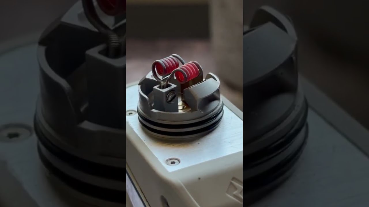 Catalog in BIO☝️ 