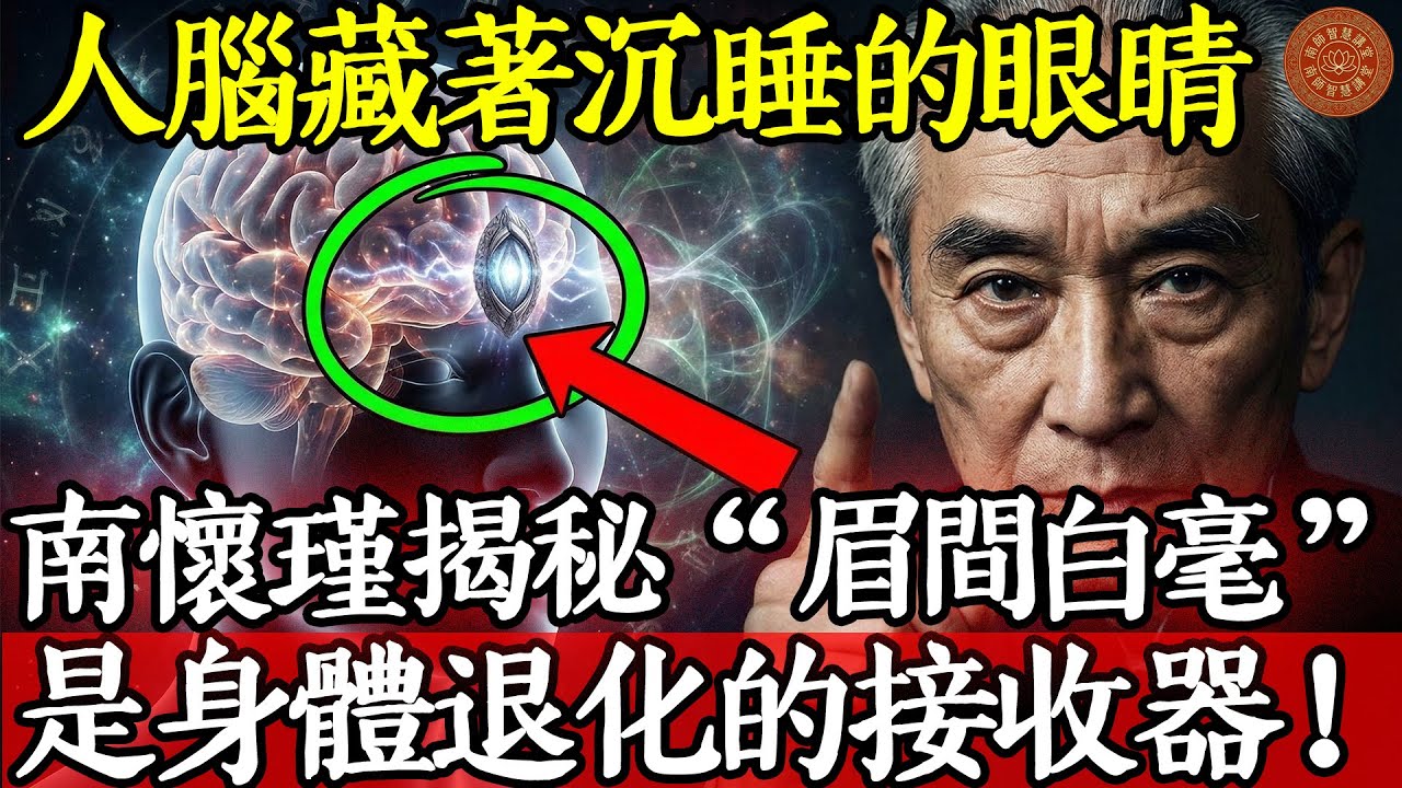 每个人大脑里都藏着一只“沉睡的眼睛”？南怀瑾揭秘“眉间白毫”：这是人类退化的接收器！#南懷瑾 #南師 #南懷瑾智慧 #第三隻眼 #天眼 #松果體 #眉間白毫 #泥丸宮 #開天眼 #特異功能 #第六感