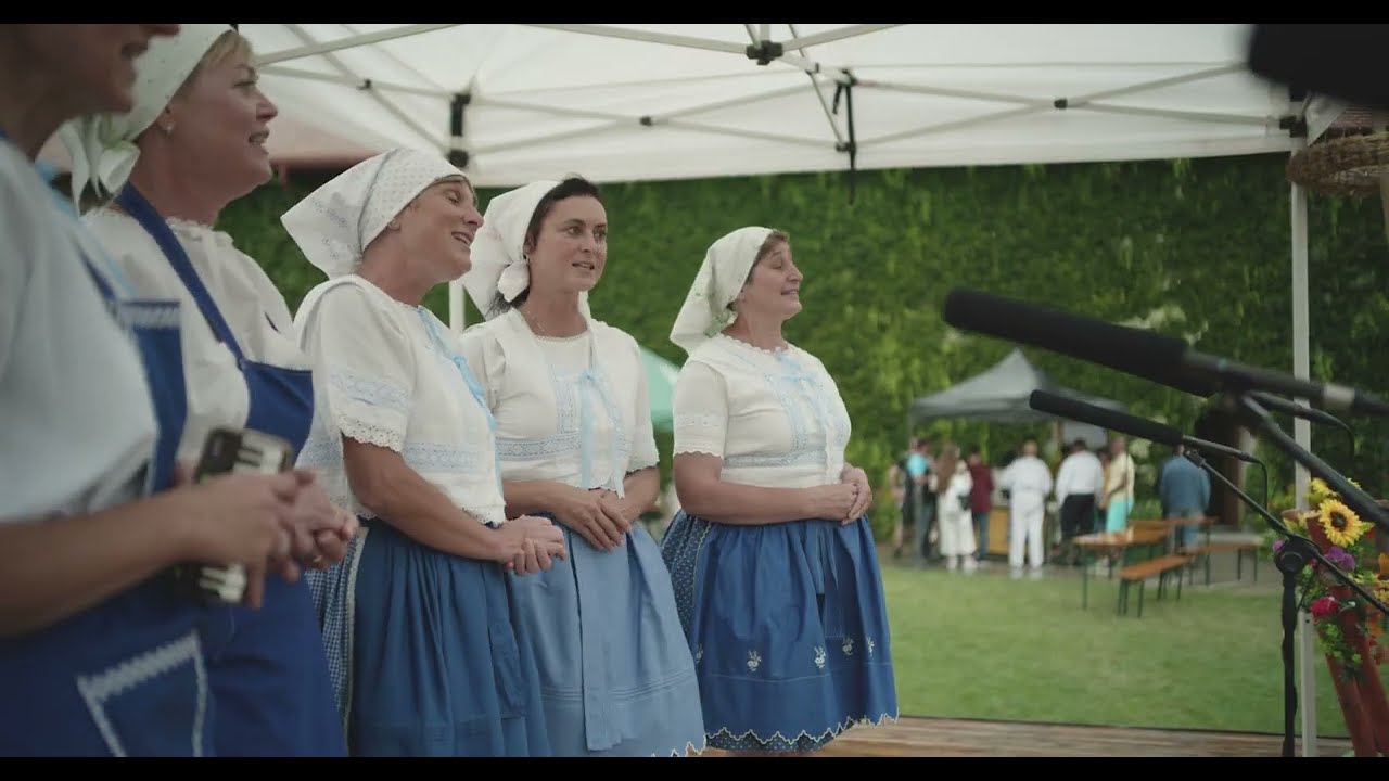 Zarážání hory, Šardice 2025 4K