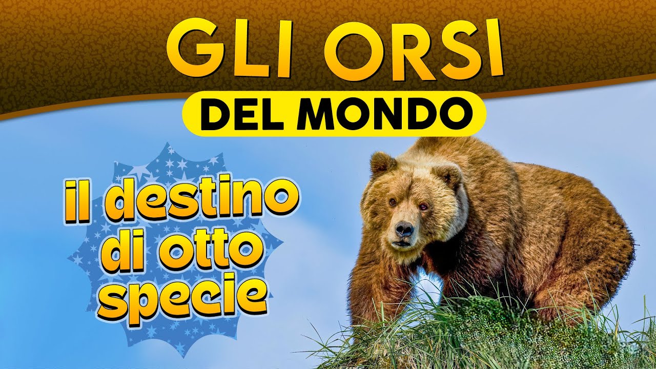 Gli Orsi del Mondo: il destino di otto specie ► Puntata 251