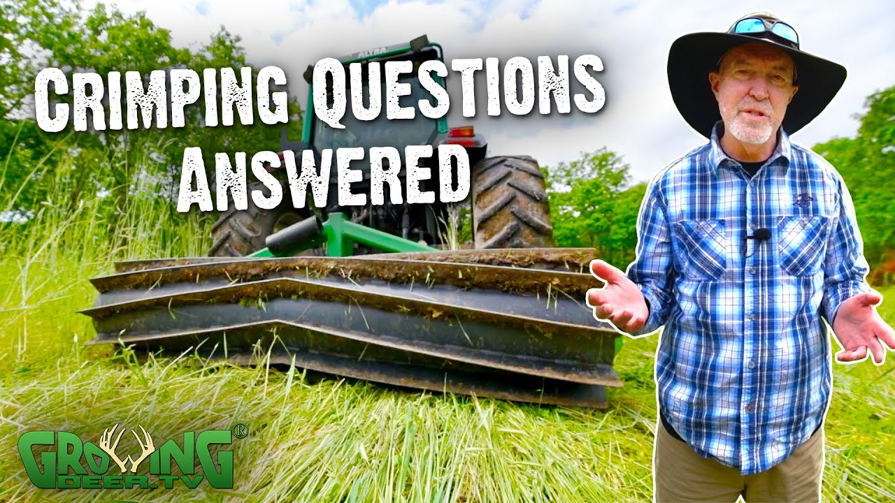Crimping: How to terminate standing crops