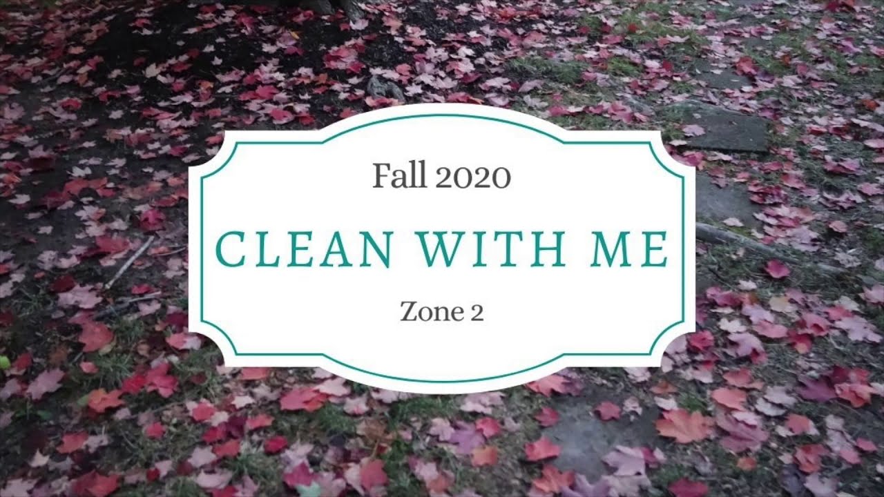 Clean with Me - Zone 2