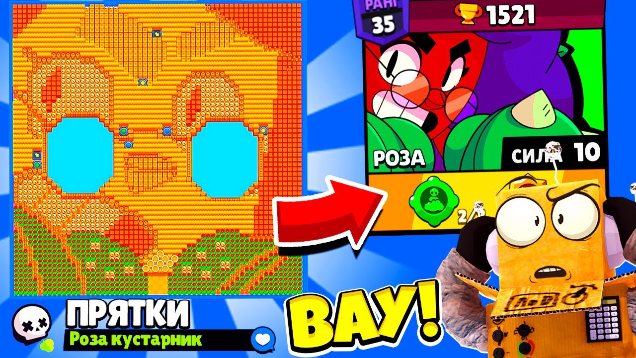 ПРЯТКИ НА КАРТЕ РОЗЫ! НОВЫЙ МИНИ РЕЖИМ BRAWL STARS! КОНЦЕПТ
