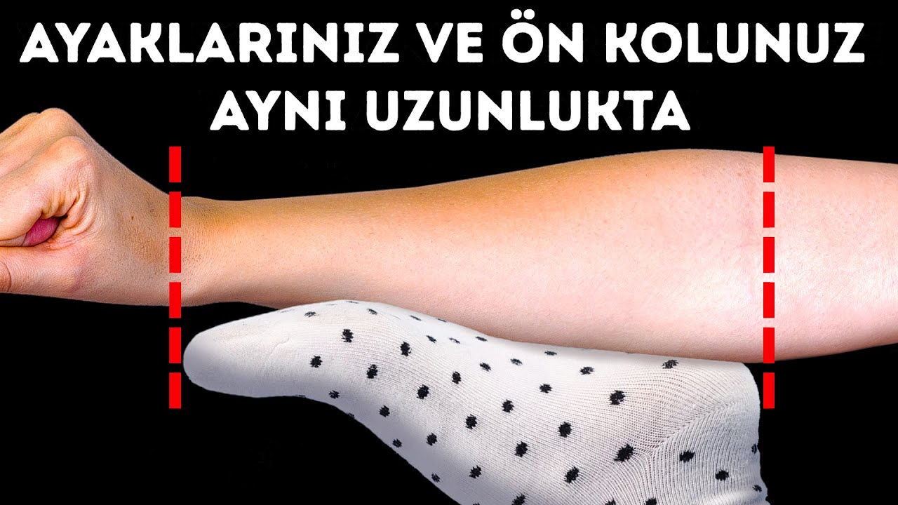 İnsan Vücudu Hakkında Google’da Araştırdıktan Sonra Unutamadığım 100’den Fazla Gerçek