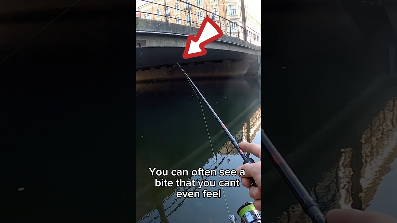 Just a simple tip that can mean a lot! #fishing #perch #bass #fishingvideo #fishingtips #fishinglife
