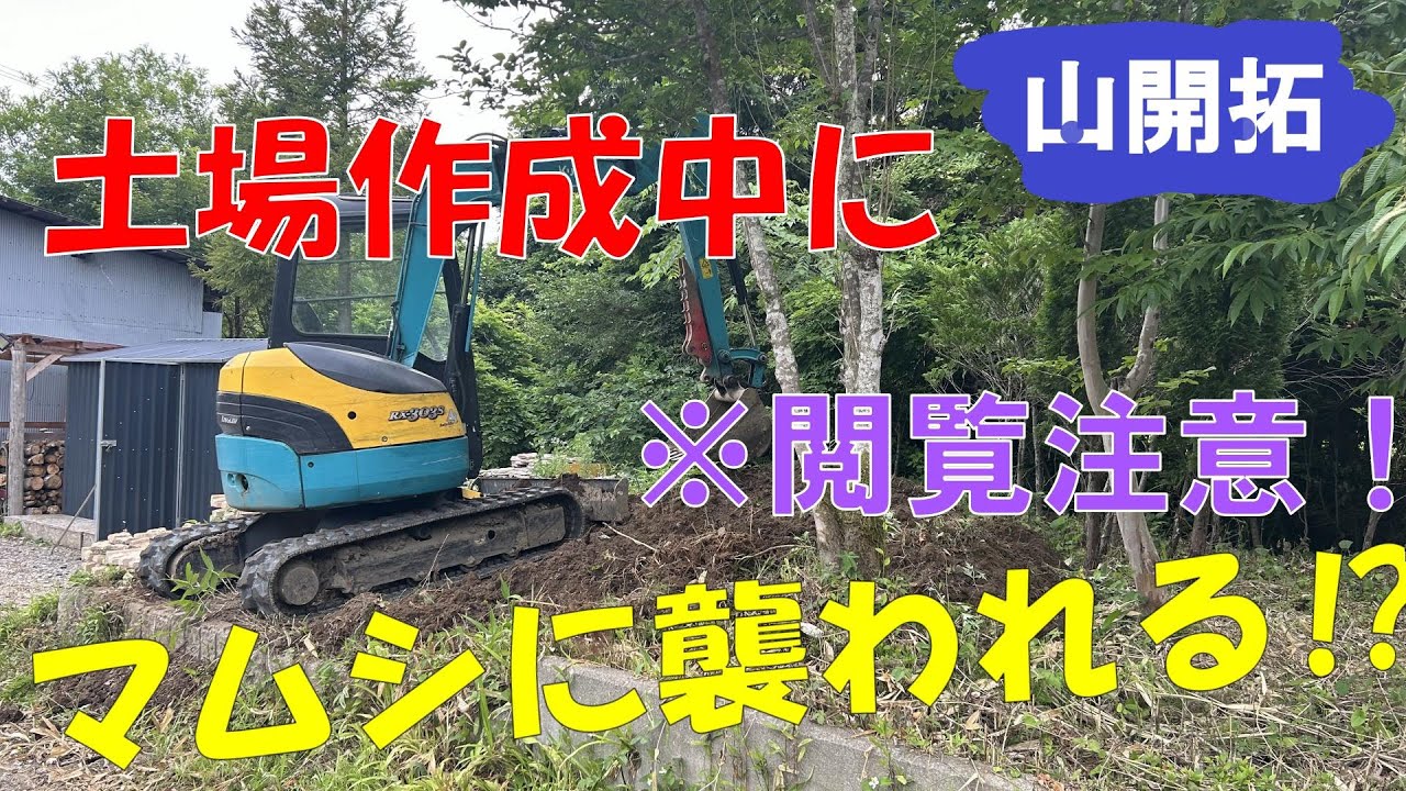 【山開拓】土場を作ってたらマムシに襲われた⁉捕獲劇！！