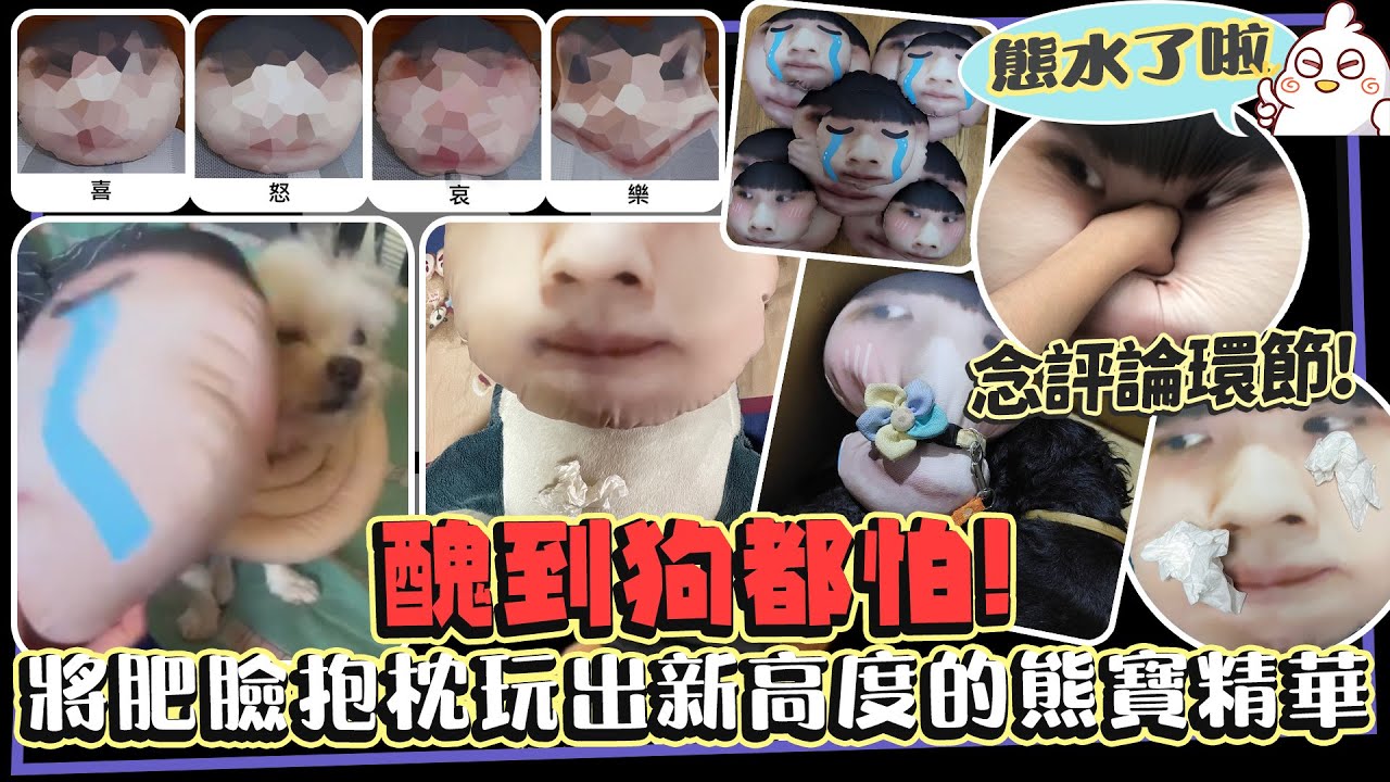 醜到狗都怕！肥臉抱枕玩出新高度😆念觀眾評價環節 Ep.2｜NL實況精華｜