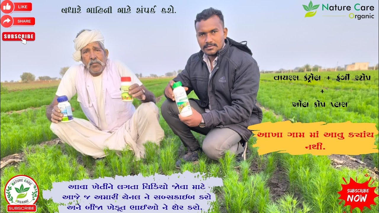 લીલા સુકારા માં કાંઈ નો ઘટે