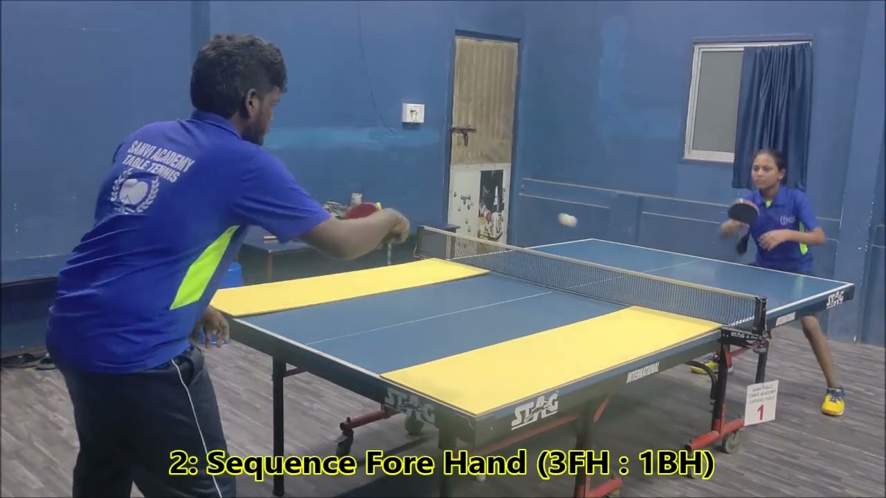 DVC of Zero Beginner (Serve & Strokes)