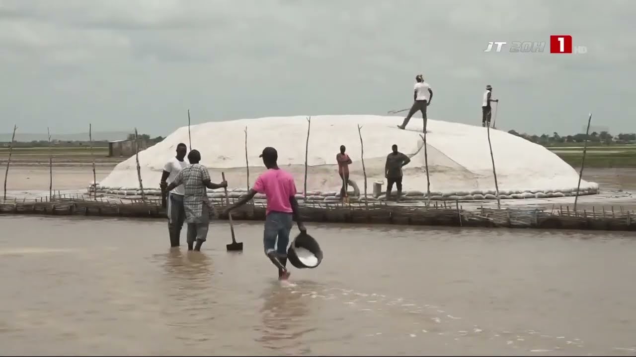 PRODUCTION SEL | L'or blanc du Saloum