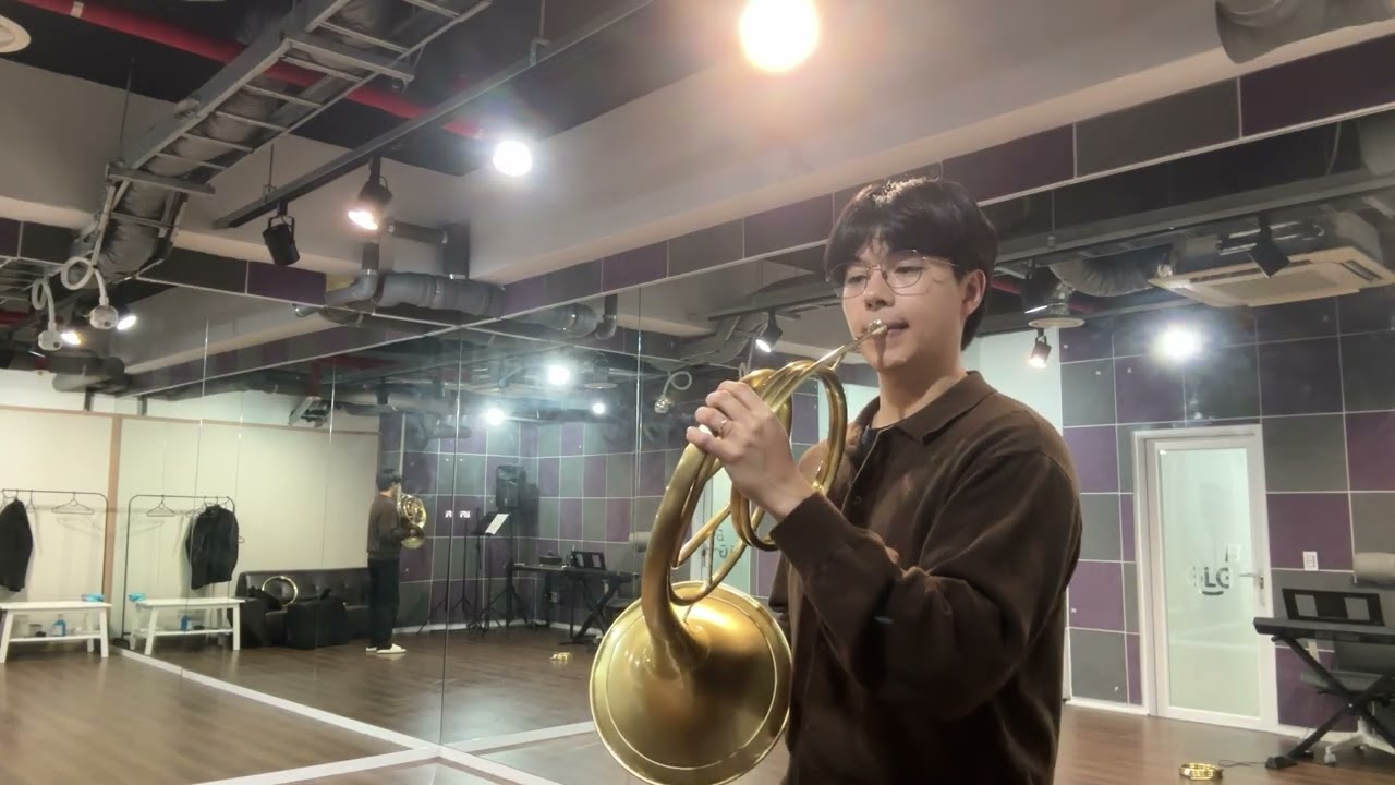 Sinfonia Concertante, K. 297b (Movement I)