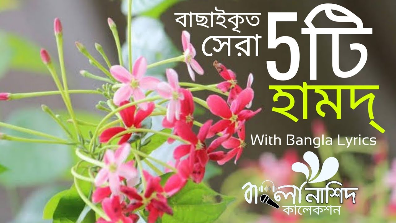 বাছাই করা সেরা ৫টি হামদ্ | বাংলা গজল লিরিক্স |  Top 5 Bangla Gojol | Bangla Nasheed Collection