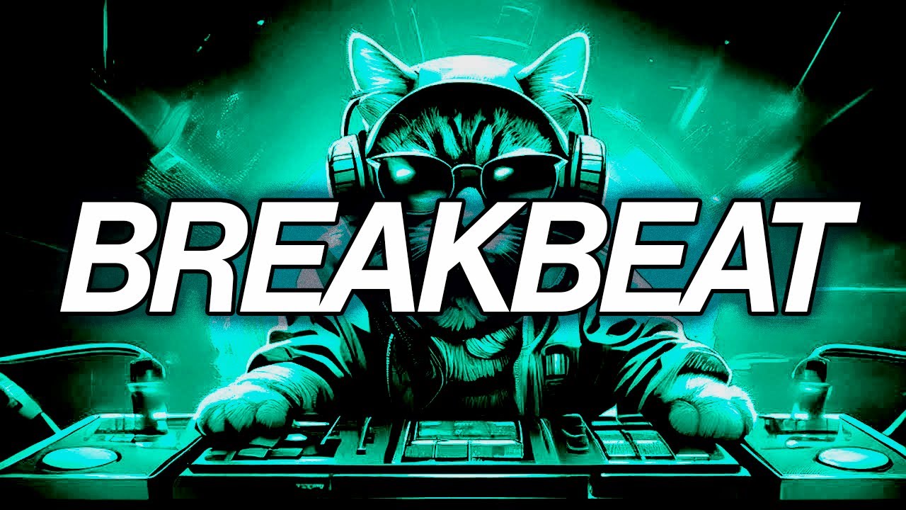 BREAKBEAT MIX 2025 - Nocturnia Breakbeat #206🔥