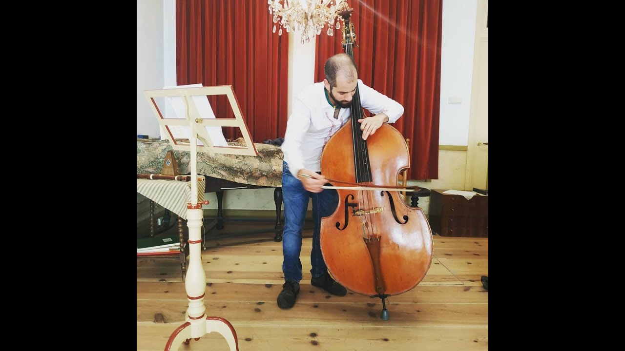F. Schubert, Sonata 
