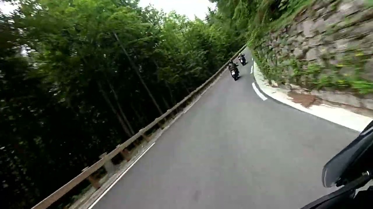 Vrsic