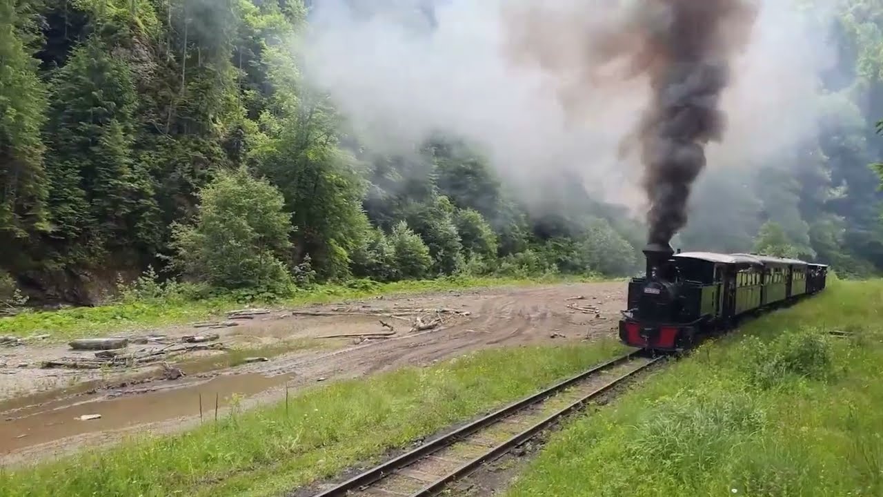 Mocanita - Viseu de Sus (Maramures)