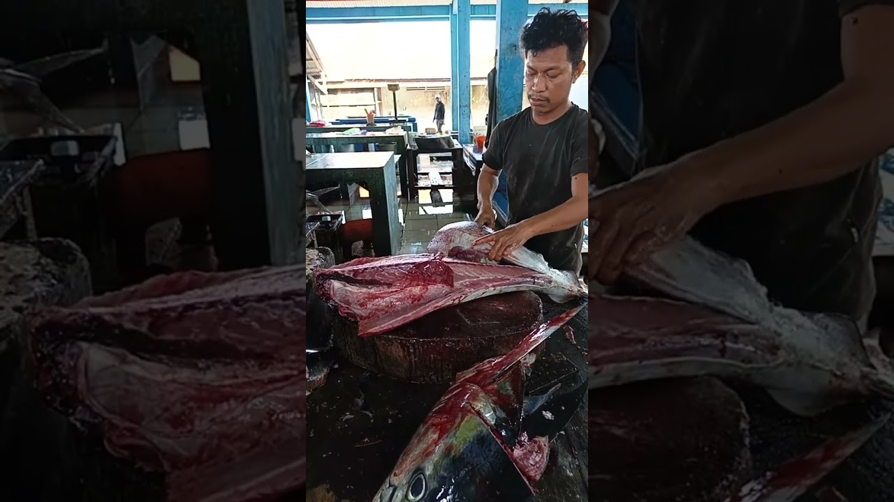 amazing way to fillet fresh tuna 
