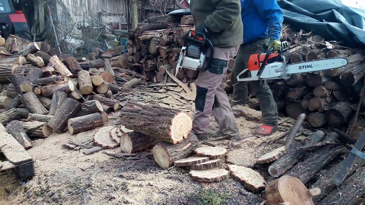 Stihl ms 660 vs Stihl ms 660
