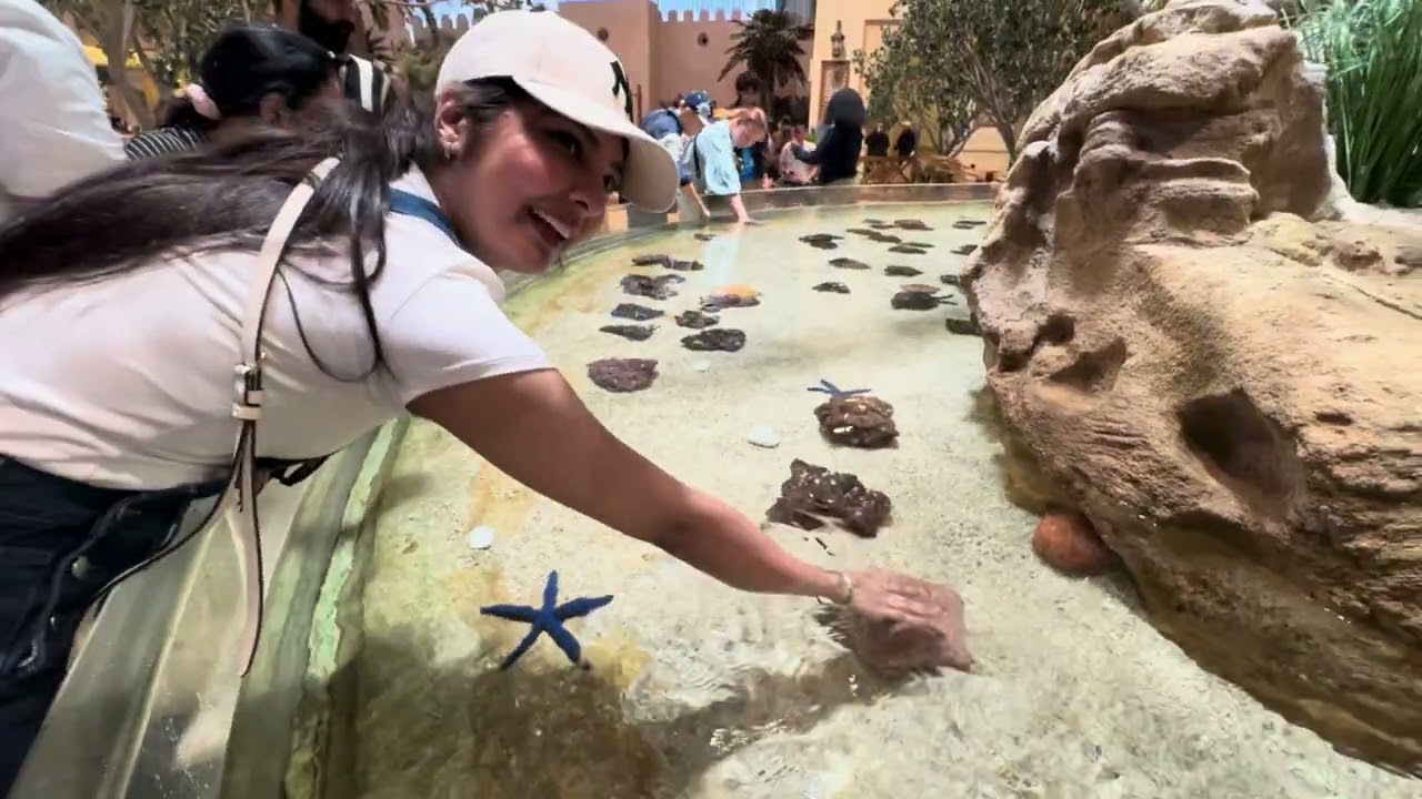 ABU DHABI | #seaworld #yasisland #2026 #travelvlog #india #hindivlog #desivlog #viralshorts #explore