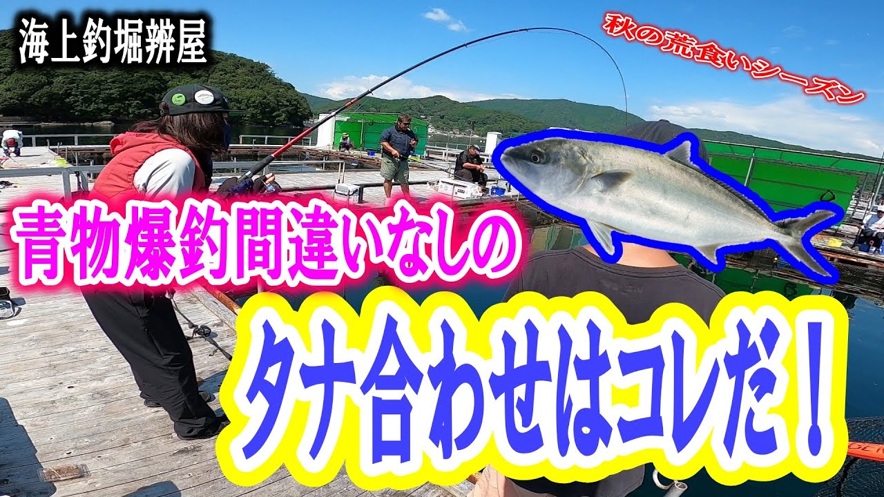 【海上釣堀】秋は青物が高活性！爆釣間違いなしのタナ合わせはコレだ！