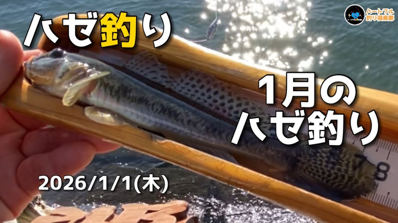 【ハゼ釣り】1月のハゼ釣り2026年1月1日