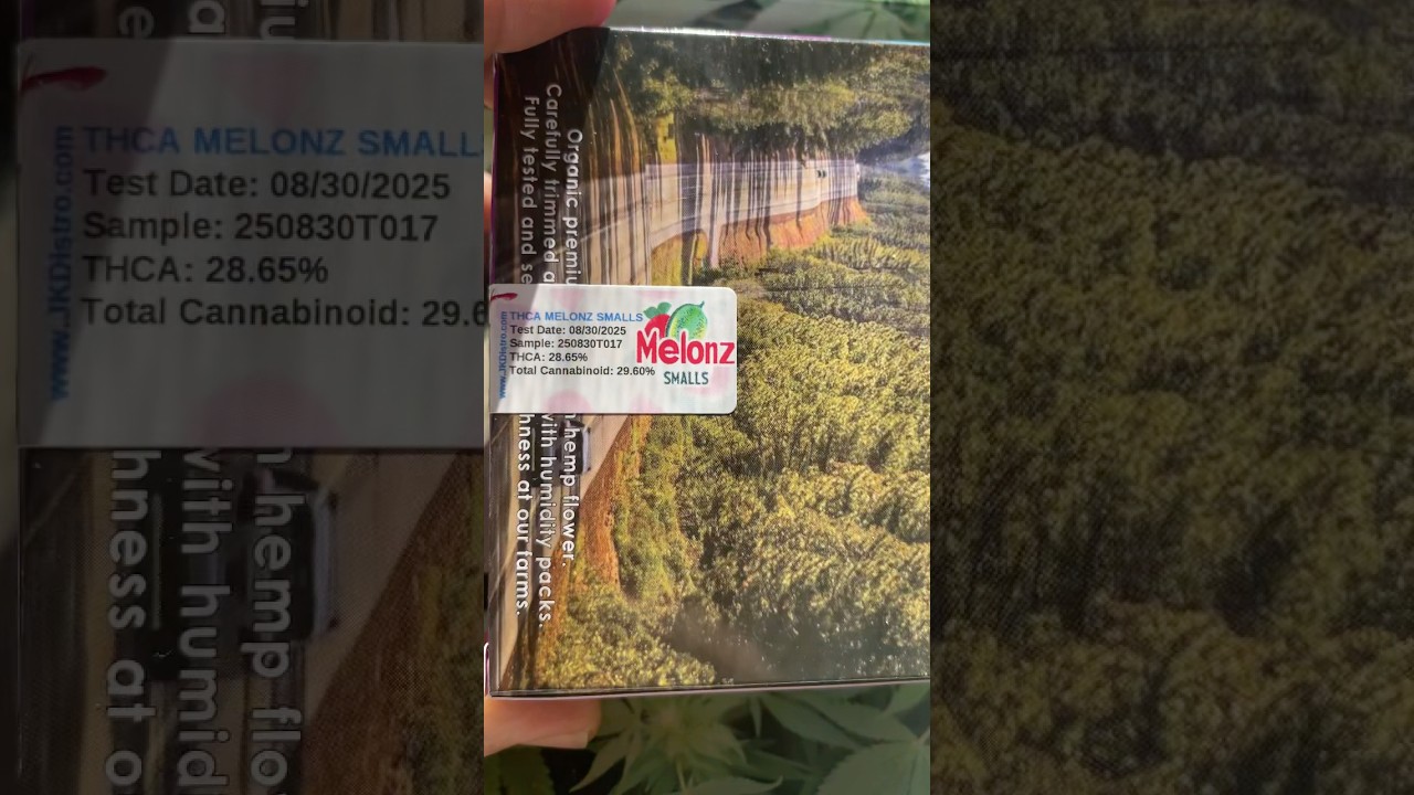 Melonz THCa flower smalls JK Distro 🍉 #shorts
