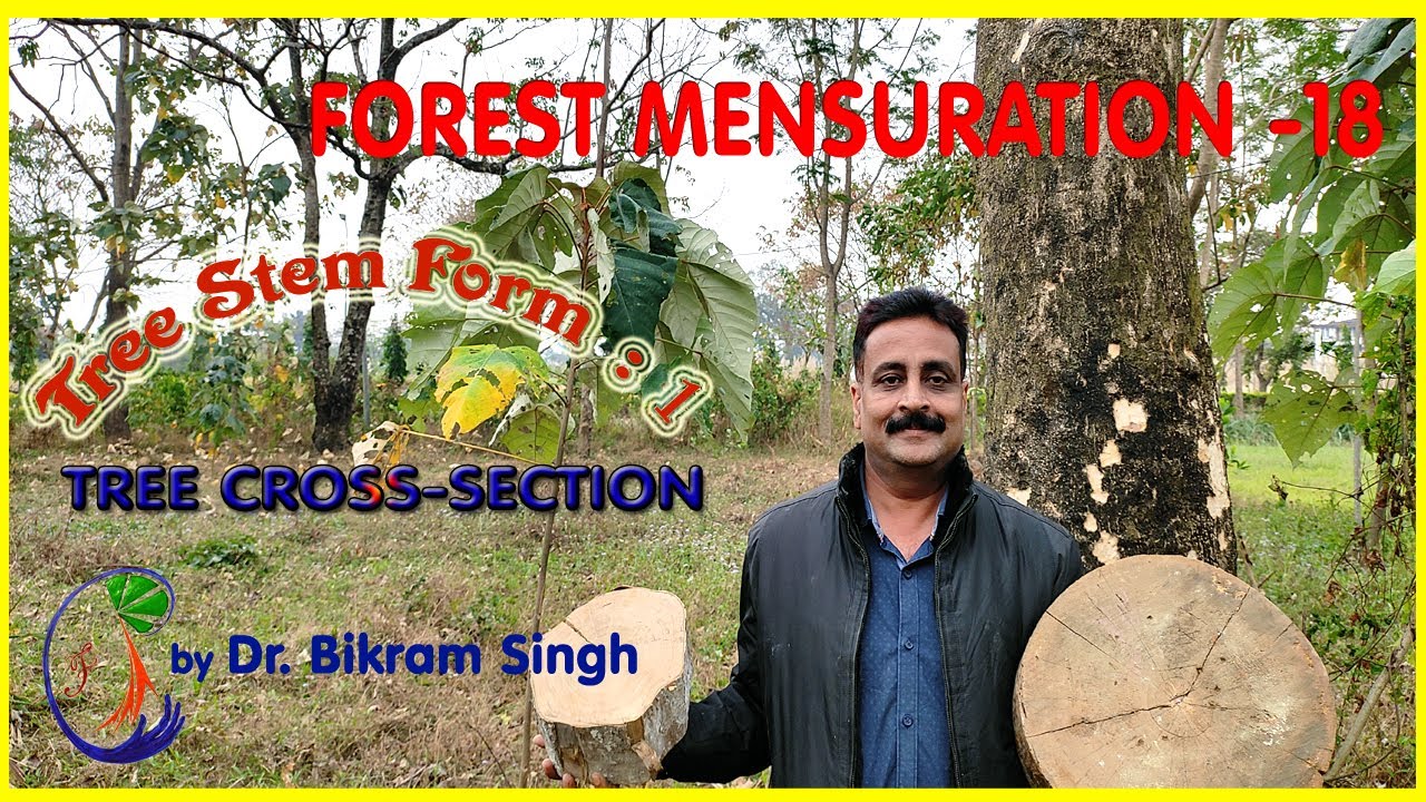 Forest Mensuration 18 : stem cross section [Watch updated lecture:  