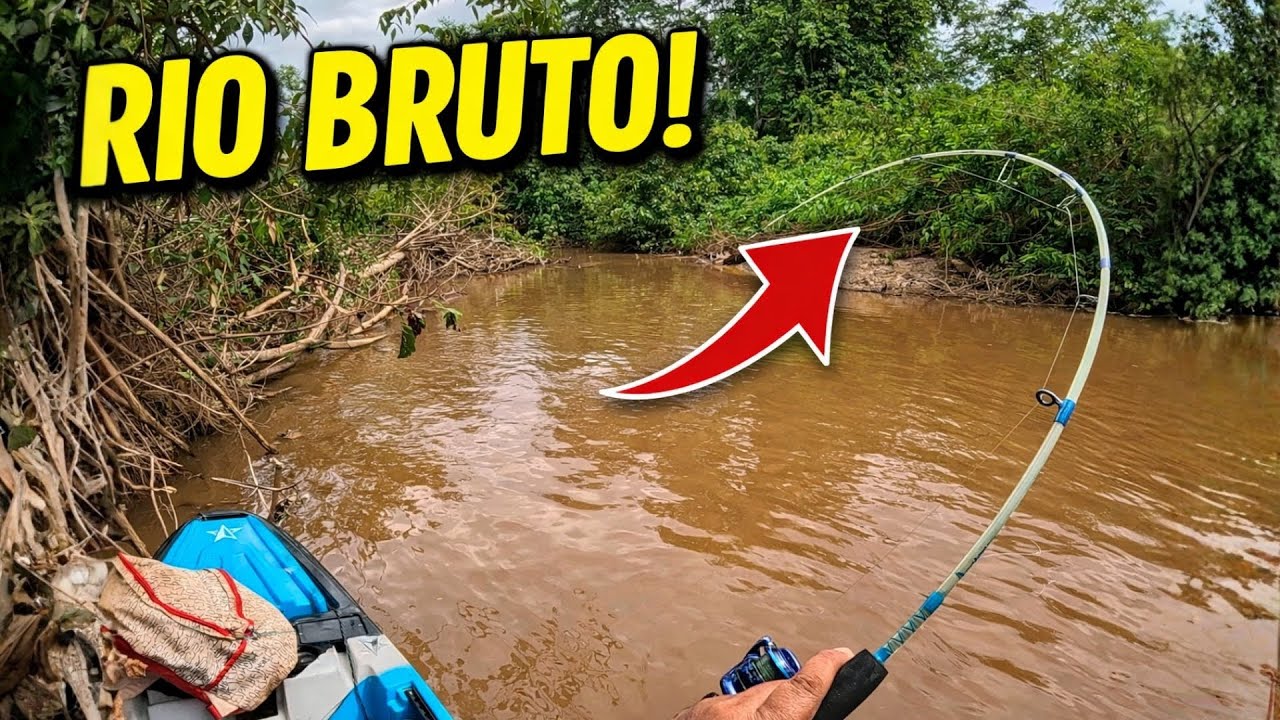 PIAU BRUTO no Caiaque! Vara Envergada e Muita Ação na Galhada.