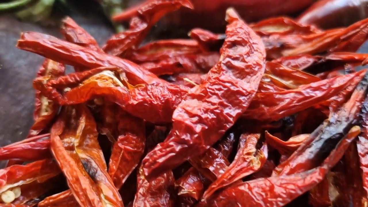 Como fazer pimenta calabresa ou pimenta desidratada