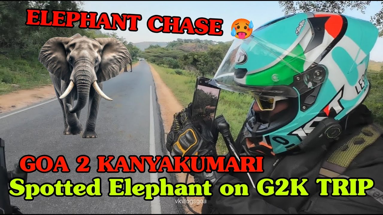 Wild Elephant🐘 Chased 🥵| Day 1 1100km G2K Ride
