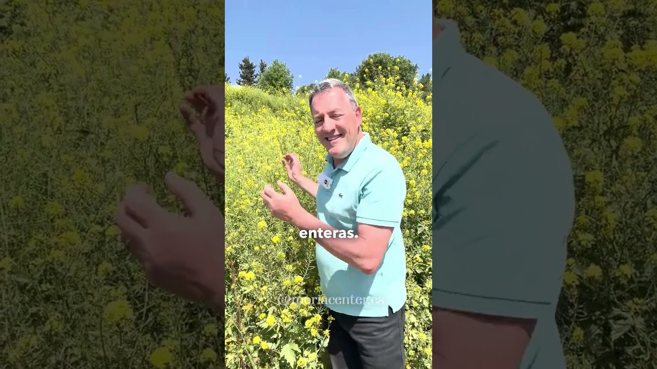 &iquest;Jes&uacute;s se equivoc&oacute; sobre la semilla de mostaza?