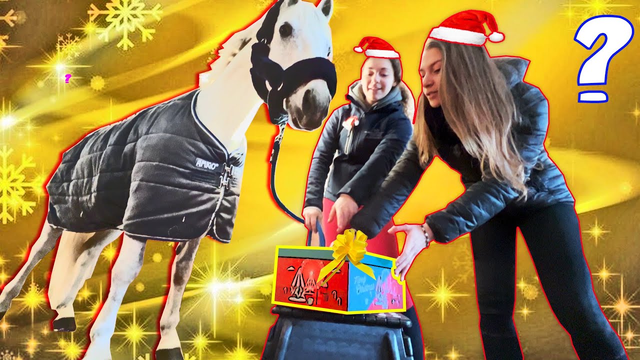 UN REGALO 🎁 SPECIALE PER PAT 🎄BUON NATALE!! 🧑‍🎄
