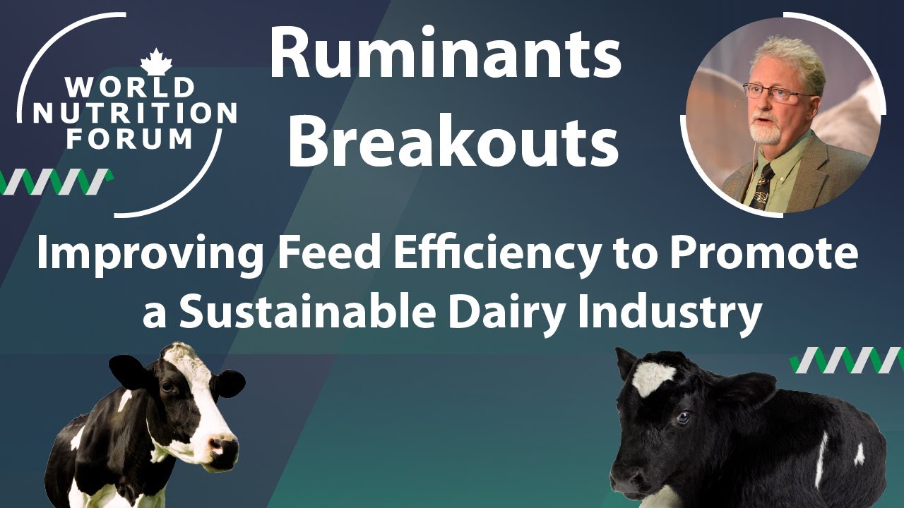 WNF 2016 Ruminants Breakouts: 03 Improving Feed Efficiency to Promote a Sustainable Dairy Industry