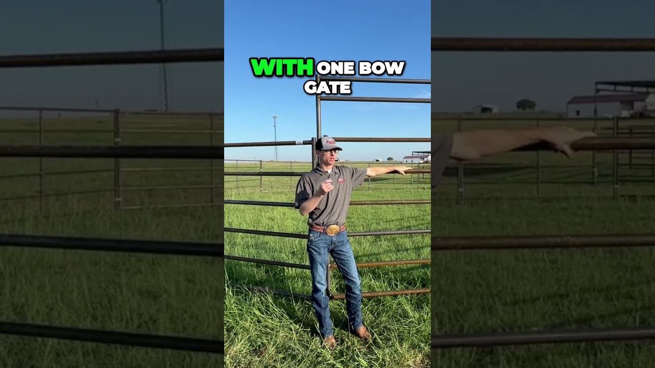 Choose the Perfect Size Round Pen for Your Horses!