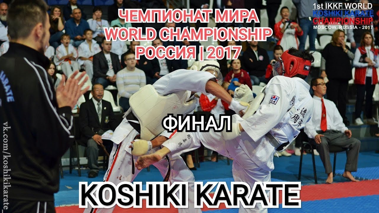 Чемпионат мира по косики каратэ 2017. Финал. Kobayashi S. (JPN 🇯🇵) - Поддубный С. (DPR)