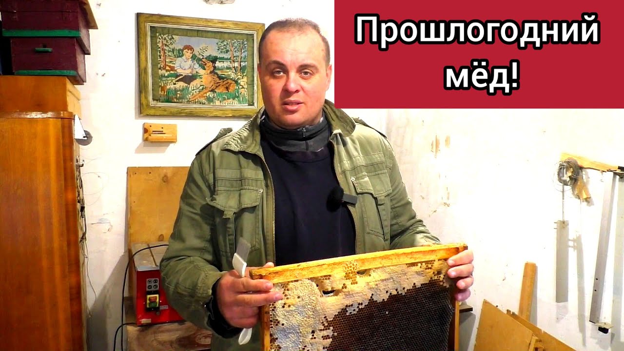 Как откачать старый прошлогодний севший мёд? Возможно ли это вообще? куда на пасеке девать такой мёд