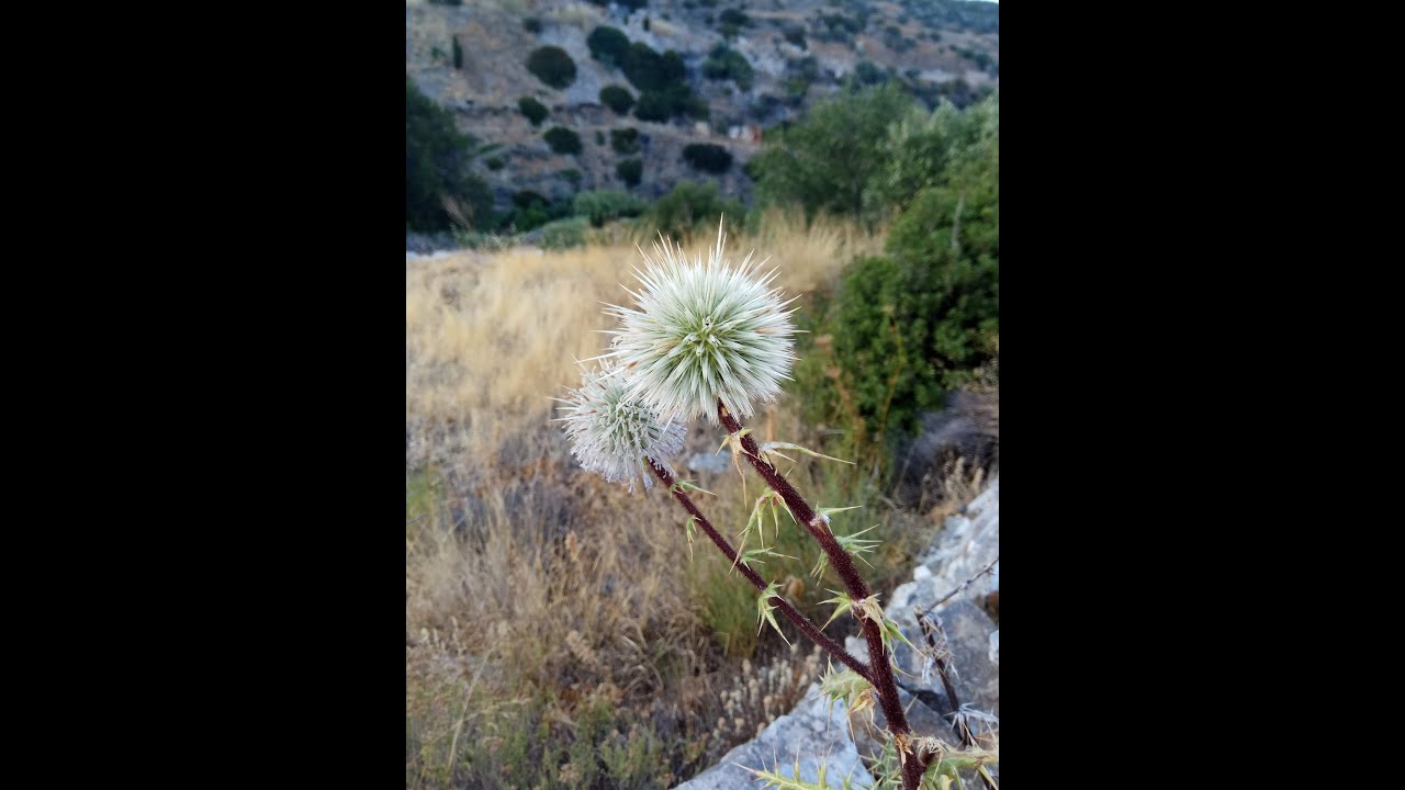 Prodromos - Leykes byzantine route / &Pi;&rho;ό&delta;&rho;&omicron;&mu;&omicron;&sigmaf;-&Lambda;&epsilon;ύ&kappa;&epsilon;&sigmaf; &beta;&upsilon;&zeta;&alpha;&nu;&tau;&iota;&nu;ό &mu;&omicron;&nu;&omicron;&pi;ά&tau;&iota;