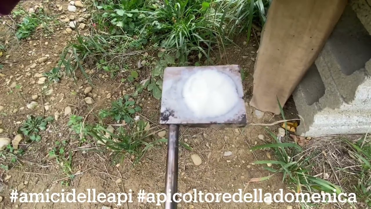 Combattere la varroa con le diavolerie cinesi?