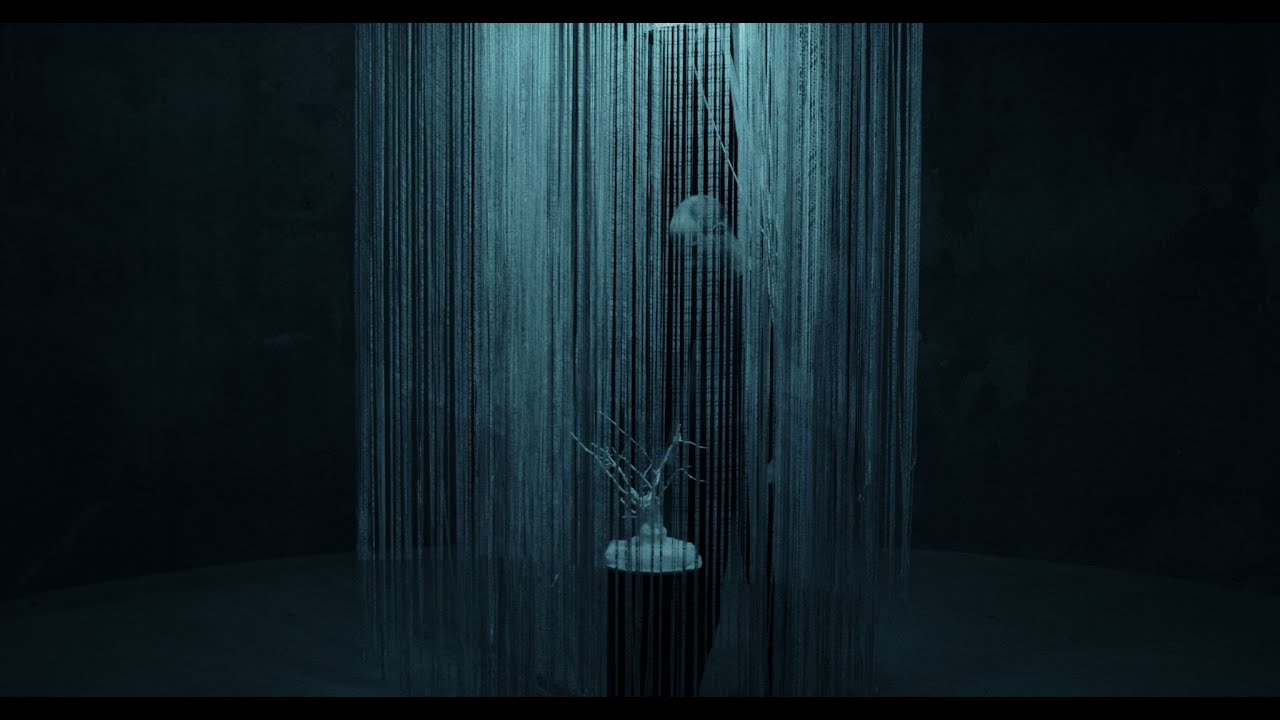 VHS Stereo - Susret