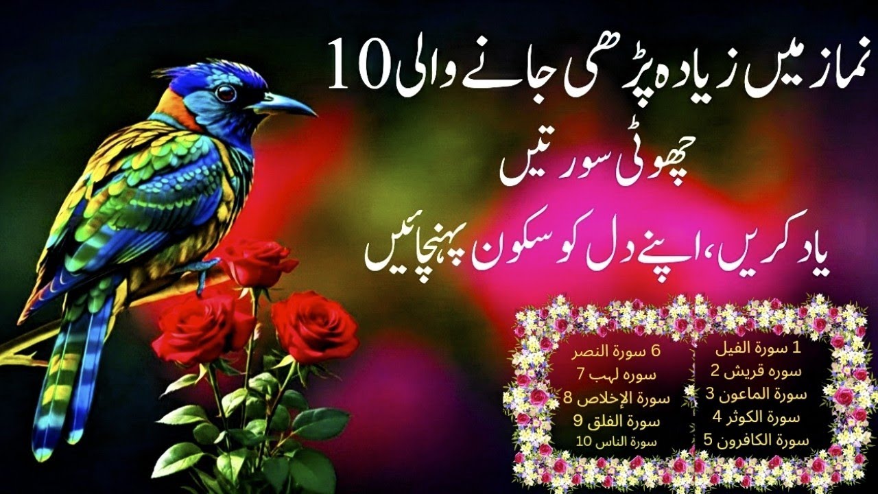 Quran Pak Ki Last 10 Surah | Short Surahs for Namaz | Dil Ko Sukoon Denay Wali Tilawat