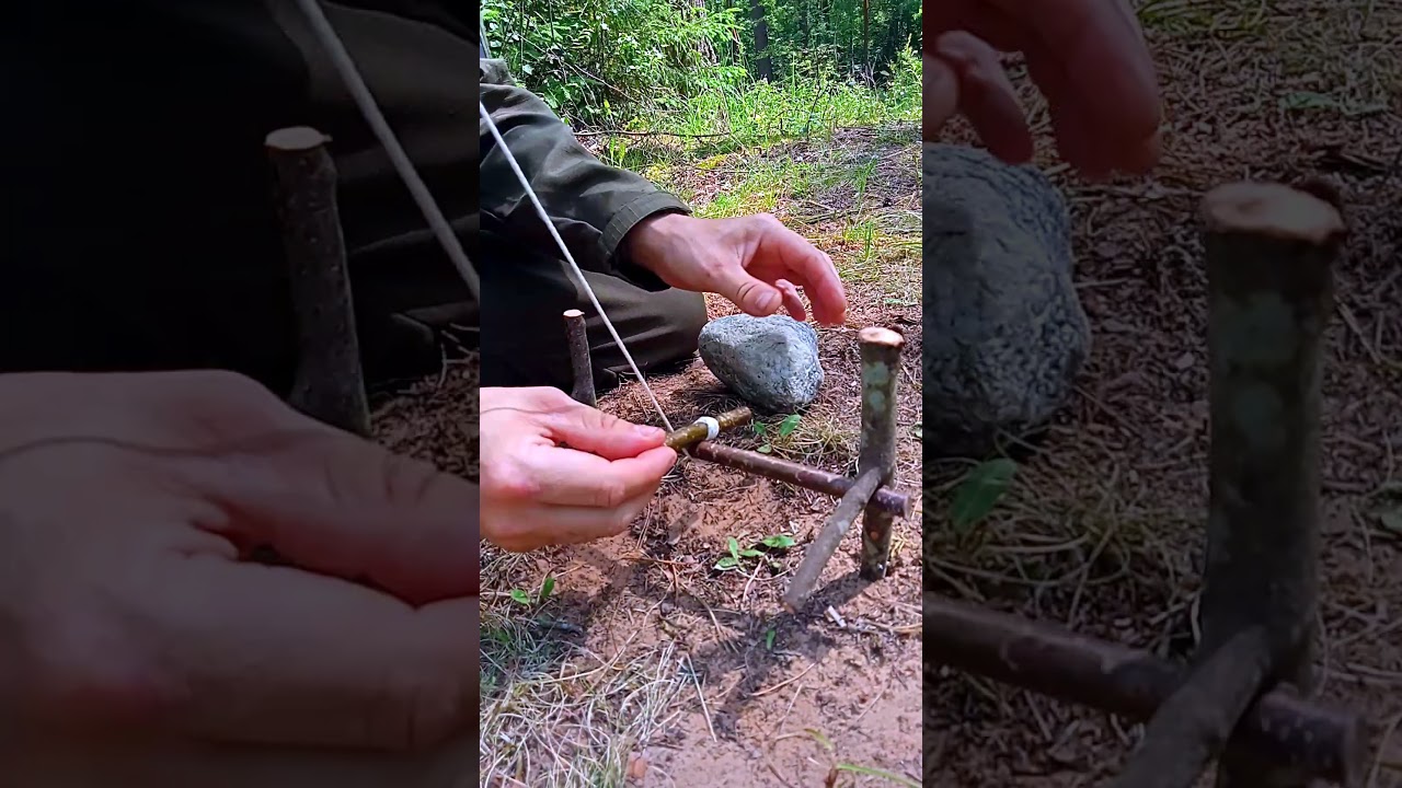 TRAP THE BEAST IF YOU GET LOST IN THE FOREST  #survival #trap #bushcraft #hunting